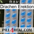 Dragon Erection 23